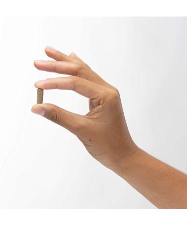 Buy Dr. Mercola Fermented Beta Glucans - 60 Capsules for Immune Support - Buy Online on GoSupps.com