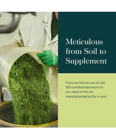 Gaia Herbs Gut Revival - Herbal Digestive Supplement to Support Gut Health - Made with Astragalus Gotu Kola Jujube & More - Free from Dairy Soy & Gluten - 60 Vegan Capsules (60 Servings) - Buy Online on GoSupps.com