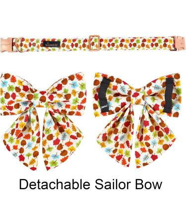 Shop Autumn Dog Collars | Adjustable Pet Collars with Removable Fly for All Dog Sizes - Stylish & Durable - Buy Online on GoSupps.com