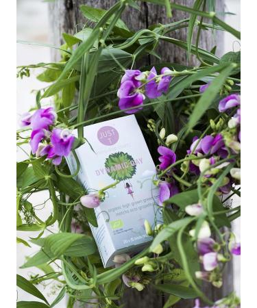 JUST T Dynamic Day Premium Double Chamber Tea Bags (20 pcs) | Organic Green Tea with Acai & Grapefruit | Biodegradable | High-Grown Leaf Tea - Buy Online on GoSupps.com