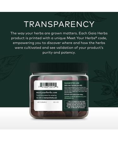 Gaia Herbs Organic Ashwagandha Gummies - Stress Support - Cinnamon & Ginger - 81 Count - Gluten Free & Vegan - Buy Online on GoSupps.com