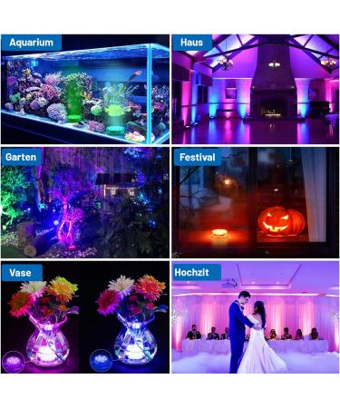 Daphomeu Underwater Lights - Remote-Controlled Waterproof RGB Multi-Color Pool & Spa Decor (2 Pack) - Buy Online on GoSupps.com