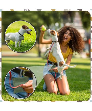 Portable Dog Training Treat Bags - Hands-Free Snack Dispenser for Dogs (2 Pack Green & Brown) - International Shipping Available - Buy Online on GoSupps.com