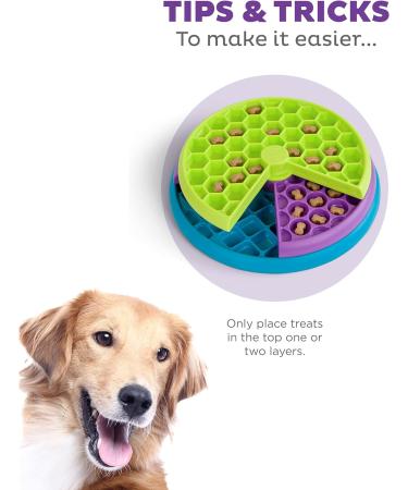 Outward Hound Nina Ottosson Lickin' Layers Interactive Dog Puzzle Game and Slow Feeder - Buy Online on GoSupps.com