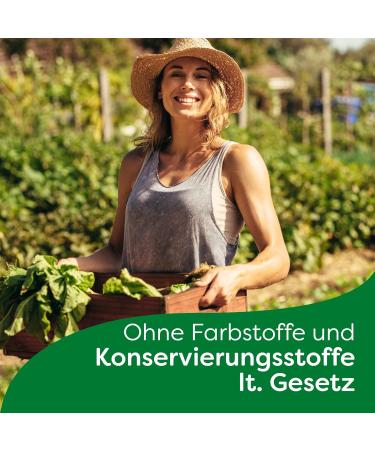 Knorr Delicatessen Vegan Vegetable Broth - Spicy Flavor | 6x329g Pack | 16L - Buy Online on GoSupps.com