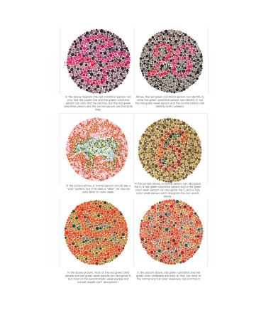 Red Green Color Blind Glasses - Double-Sided Coating - PC Resin - Men & Women - Black & Red Frame - Ideal for Indoor & Outdoor Use - Buy Online on GoSupps.com