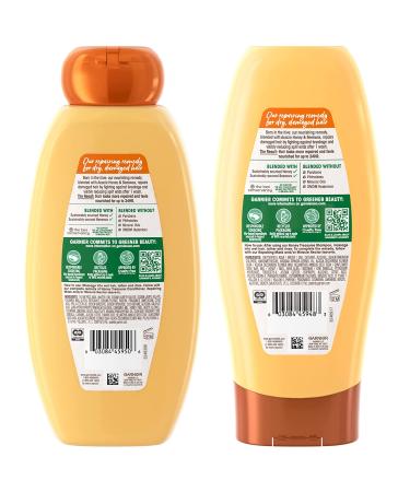 Garnier Whole Blends Honey Treasures Repairing Shampoo & Conditioner Set - 22 Fl Oz (2 Items) - For Dry Damaged Hair - Buy Online on GoSupps.com