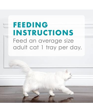 Purina Fancy Feast Appetizers Adult Gourmet Wet Cat Food - Light Meat Tuna & Scallop, 1.1oz (Pack of 10) - Buy Online on GoSupps.com