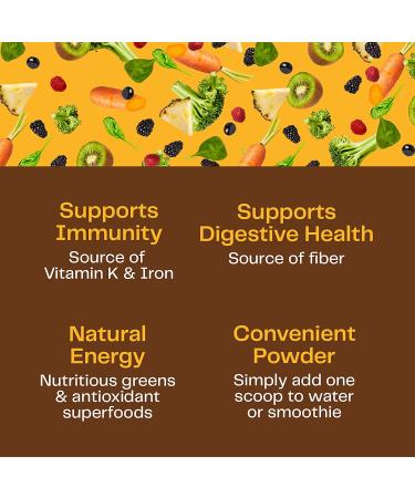 Amazing Grass Green Superfood Chocolate 28.2 oz | Nutrient-Rich Superfood Powder - Buy Online on GoSupps.com