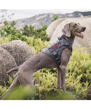 OneTigris Tactical Dog Vest | MOLLE Service Dog Harness | 1000D Nylon | Large | Grey - Ideal for Training & Outdoor Adventures - Buy Online on GoSupps.com