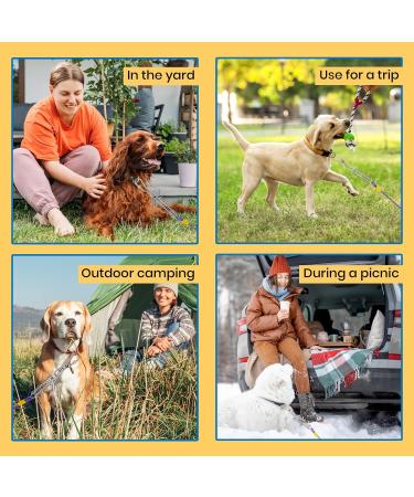 Barporary 3m Dog Cable Runner - Durable Stainless Steel for Large Dogs up to 120lbs | Lockable Hooks & Violet Design - Buy Online on GoSupps.com