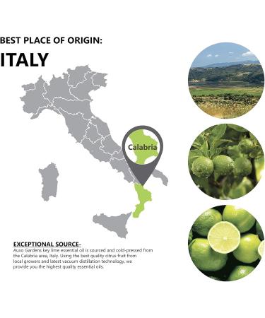 Auxo Gardens Key Lime Essential Oil 1 oz (30ml) - 100% Pure and Undiluted Aromatherapy Grade - Boosts Energy and Focus - Buy Online on GoSupps.com