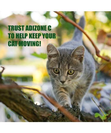 AMBER NATURALZ Adizone C for Cats - 1 Ounce - Aches & Discomfort Relief - Buy Online on GoSupps.com