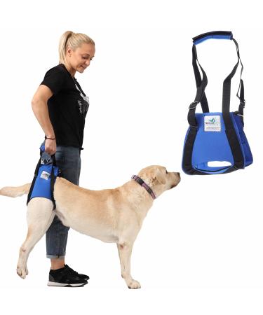 Dogs carrying aid xl blue / dogs walking aid / dog rehabilitation aid the auxiliary dishes for problems on the spine the hip and the knees of their dog.From Nature Pet the premium brand for aids from Neoprene.Blue XL