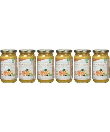 Probios Orange and Ginger Puree without Pectin with Organic Fruit Sugar 220 g - Buy Online on GoSupps.com