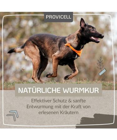 Provicell Para-W-Vital | Natural Worm Cure & Deworming Agent for Dogs | Veterinarian Developed in Germany | 120 Tablets for Effective Support - Buy Online on GoSupps.com