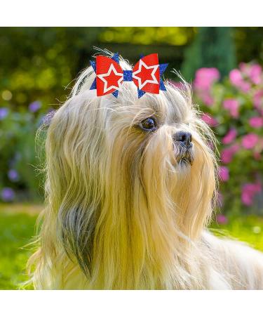 Haakong 8Pcs Fourth of July Hair Clips - American Flag & Star Hair Barrettes for Party & Dance - Buy Online on GoSupps.com