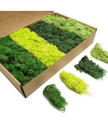 TurelinnG Preserved Moss 4 Color Reindeer Craft Moss, Total 14 OZ Each Color 3.5 OZ, Fake Moss Suitable for Flowerbeds, Crafts, Home Office Artistic Decoration (4 Colors) Green-(01+02+03+04) 0.88LB
