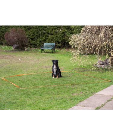 Obedience & Agility Training Set for Dogs - Enhance Your Dog's Skills | International Shipping Available - Buy Online on GoSupps.com