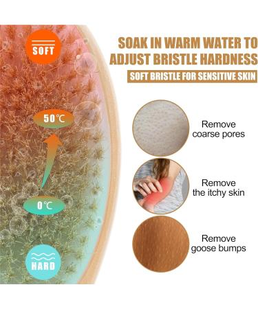 Soft 2-in-1 Shower Brush with Long Handle - Natural Bristles Bath Brush - 40cm Back Scrubber for Shower | Use in Shower - 1 Count - Buy Online on GoSupps.com