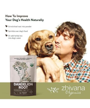 Organic Dandelion Root Tea - Liver Cleanse & Digestion Support (90 Cups) | Detox Tea - Buy Online on GoSupps.com