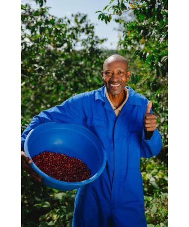 JR SPECIALTY COFFEE Medium Roast Coffee Beans 100% Arabica Single Origin from Rwanda 250g Bag - Buy Online on GoSupps.com
