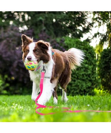 Wolfone 3m Pink Drag Line Leash for Dogs - Waterproof Durable Training Leash for Recall Swimming Camping & Beach Walks - Buy Online on GoSupps.com