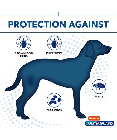 Hartz UltraGuard Dual Action Flea & Tick Topical Treatment for 15-30 lb Dogs - 6 Months Protection - Buy Online on GoSupps.com