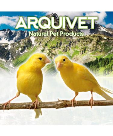 Arquivet 12cm Metal & Wood Bird Swing - Ideal Toy & Accessory for Parrots Budgies and Agapornis - Perfect Bird Cage Swing - Buy Online on GoSupps.com