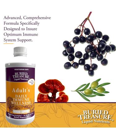 Buried Treasure Immune Wellness Booster - 16 Fl Oz | Elderberry, Echinacea & Vitamins - Buy Online on GoSupps.com