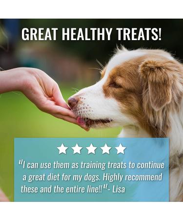 Vital Essentials Freeze-Dried Rabbit Treats for Dogs - 2.0 oz | Healthy & Nutritious - Buy Online on GoSupps.com