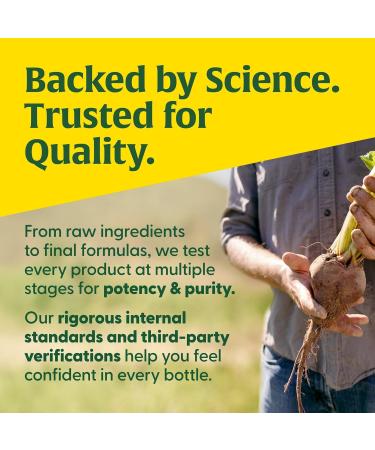 MegaFood Quercetin with Bromelain Supplement Respiratory & Seasonal Immune Support Supplement Quercetin 500mg Capsules & Enhanced Absorption Vegan Gluten-Free 60 Capsules 30 Servings - Buy Online on GoSupps.com