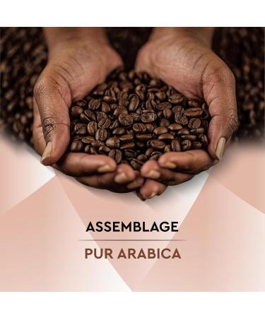  Carte Noire CARTE NOIRE - Carte Noire Ground Coffee "Douceur Intense" - Arabica Ground Coffee - Sweet and Delicate Coffee - Pack of 12 x 250g - Made in France 500g (Pack of 6) - Buy Online on GoSupps.com