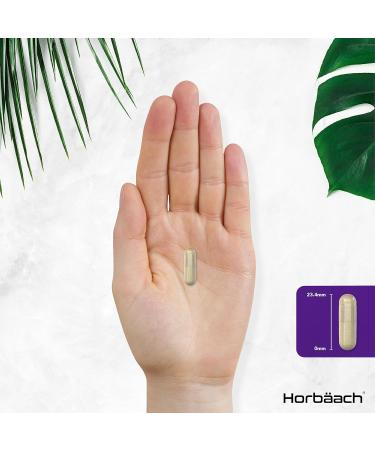 Menopause Support Supplement with SOYA Isoflavones, KSM-66 Ashwagandha & Lions Mane | 90 Vegan Capsules - Buy Online on GoSupps.com