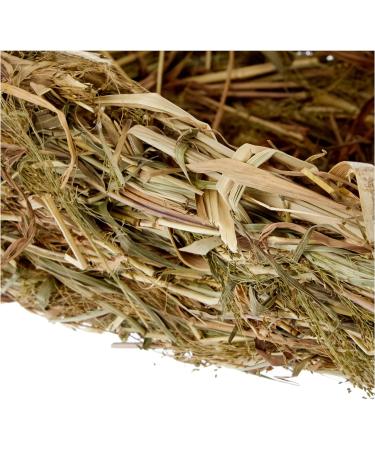 Trixie Grass Bed for Rabbits 33 x 26 x 12 cm - Buy Online on GoSupps.com