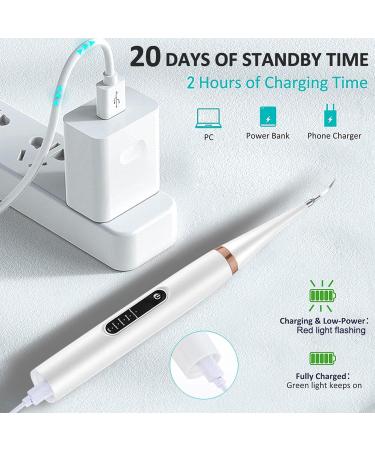 Canilab - Dental Scaler for Dogs Dog Plaque and Tartar Remover Dog Dental Cleaning Kit Equipped with 5 Adjustable Intensities (White one Size) - Buy Online on GoSupps.com