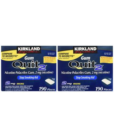 Kirkland Signature Quit Smoking Gum 2 mg - 380 Count - Buy Online on GoSupps.com