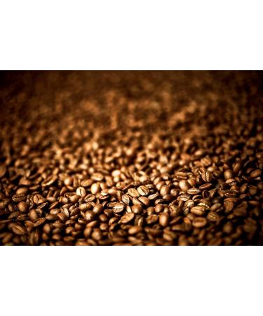 Nescafe Toffee Nut Latte Instant Coffee 8 x 18.6g Sachets 100% Responsibly Sourced Coffee - Buy Online on GoSupps.com