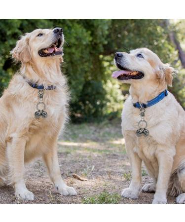 QOCO Extra Loud Cat and Dog Bells for Collar Pet Tracker Bells with Swivel Lobster Clasp Durable Collar Charms Pendant for Cats Dogs Training Harness Brass - Buy Online on GoSupps.com