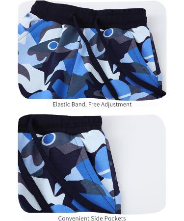 Boys Camo Sweatsuit Hoodie Set | Toddler Boy Fall Outfit | 2T Tracksuit A19010238-b - Buy Online on GoSupps.com