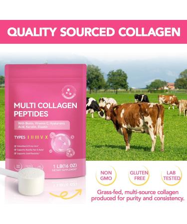 Multi Collagen Peptides Powder Types I II III V X 1 Pounds Unflavored with Biotin Hyaluronic Acid & Vitamin C Keto & Paleo Non-GMO Gluten-Free 1 Pound (Pack of 1) - Buy Online on GoSupps.com