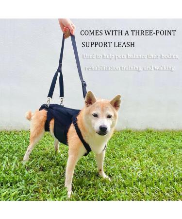 Dog Back Brace IVDD Pet Hip Brace Support with Leash Comfortable Dog Spine Support Vest for Small and Medium Sized Pets with Arthritis Herniated Disc Or Spinal Surgery Recovery (S) - Buy Online on GoSupps.com