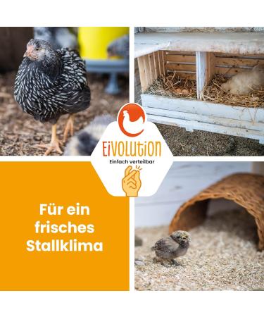 Egg Rigories with Eucalyptus 3kg | Highly Absorbent Bedding for Chickens Guinea Pigs Rabbits & Horses | Ideal Stable Climate - Buy Online on GoSupps.com