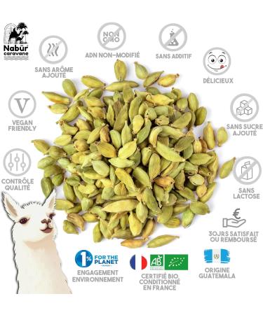 100 gr Cardamome en Gousse BIO Cardamome Enti re Puissant Riche Caf Chai Masala - NAB R - Buy Online on GoSupps.com