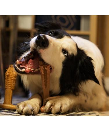Bamboodles T Bone Dog Chew - Medium Chicken Flavor for Aggressive Chewers - Buy Online on GoSupps.com