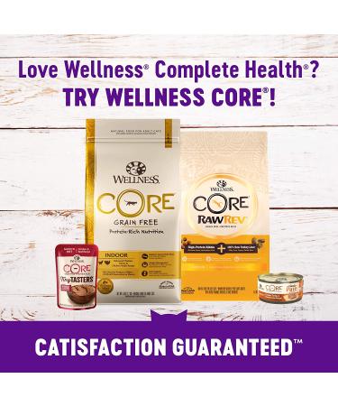 Wellness Complete Health Grain-Free Salmon & Herring Indoor Cat Food - 5.5 lb Bag - Buy Online on GoSupps.com