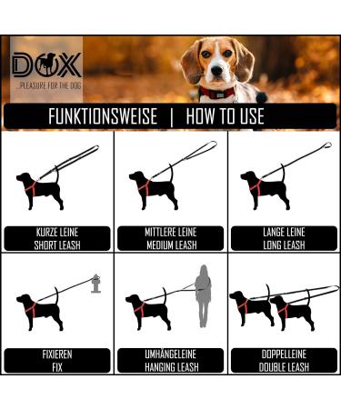 DDOXX Reflective Nylon Dog Leash 2m - 3-Way Adjustable for All Dog Sizes - XS (Orange) - Durable Stylish Perfect for Walks - Buy Online on GoSupps.com