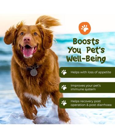 PetExx Energy Boost 100ml - Multivitamin Rehydration Immune Support Electrolyte Pet Supplement with Beta Glucans, Prebiotics, Amino Acids, Vitamins A E D3 & B12 - Green Tea Formula - Buy Online on GoSupps.com