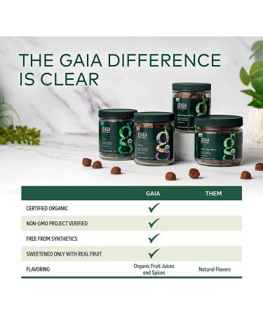 Gaia Herbs Organic Ashwagandha Gummies - Stress Support - Cinnamon & Ginger - 81 Count - Gluten Free & Vegan - Buy Online on GoSupps.com