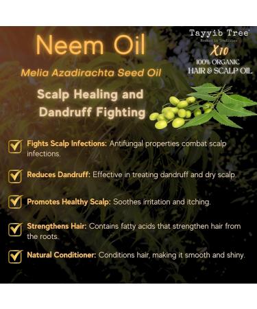 Hair & Scalp 10-Oil Blend Made in UK - Organic Rosemary Castor Amla Bhringraj Black Seed Jojoba Neem Olive Cedarwood & Lavender - Frizz Hair Loss Thinning Dandruff For All Hair Types - Buy Online on GoSupps.com